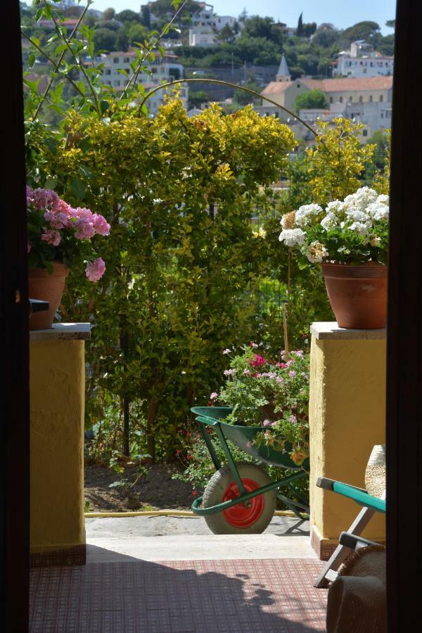 B&B Lodge Dell'Ospite Ischia Casamicciola Terme Екстериор снимка